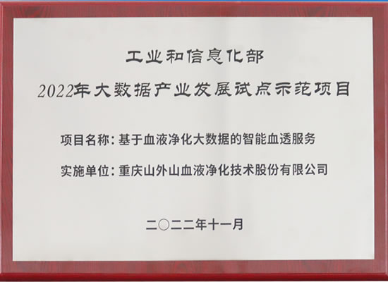 行业唯一！山外山公司入选“2022年大数据产业发展试点示范项目”